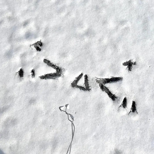 性少妇BbBBb老少配毛多多
